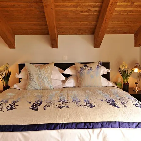 Panorama Chalet Stunning Glacial Views And Majestic Dom Peaks 萨斯费